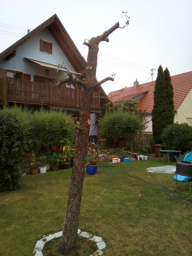 Villa Blue Nördlingen Exteriör bild